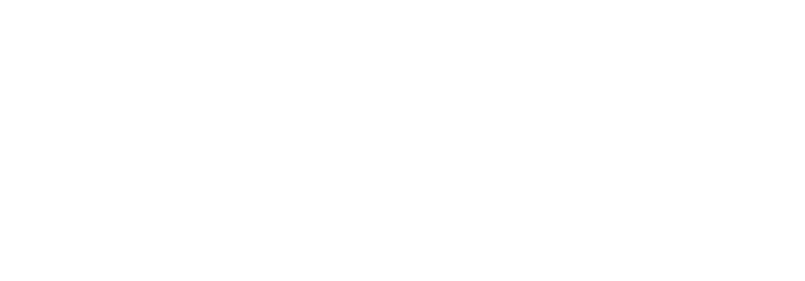 fruppylogotrans